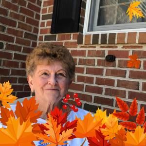 Meet your Posher, Doris